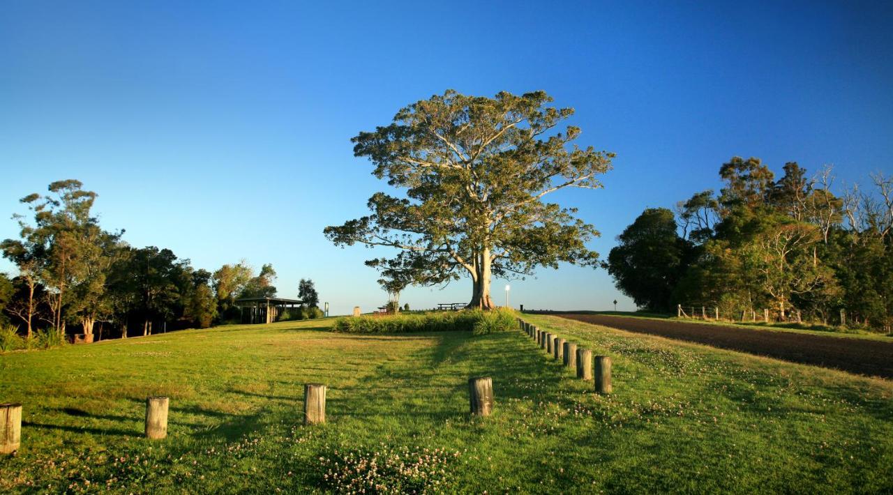 Oaks Toowoomba Hotel Kültér fotó